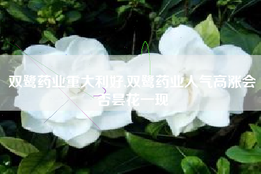 双鹭药业重大利好,双鹭药业人气高涨会否昙花一现