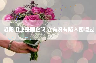 洛阳钼业是国企吗,它有没有陷入困境过