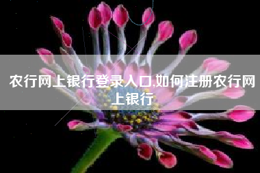 农行网上银行登录入口,如何注册农行网上银行