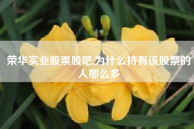 荣华实业股票股吧,为什么持有该股票的人那么多