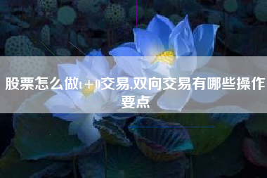 股票怎么做t+0交易,双向交易有哪些操作要点