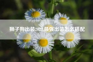 狮子狗出装2022,最强出装怎么搭配