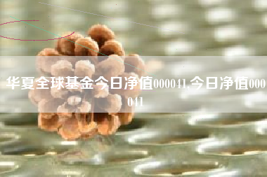 华夏全球基金今日净值000041,今日净值000041