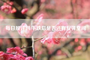每日股评网,下跌后是否还有反弹空间