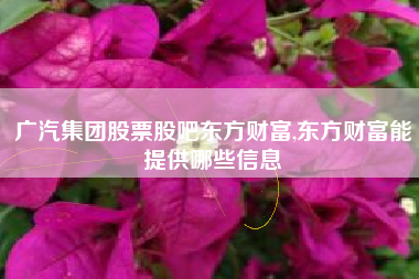 广汽集团股票股吧东方财富,东方财富能提供哪些信息