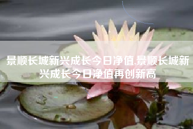 景顺长城新兴成长今日净值,景顺长城新兴成长今日净值再创新高