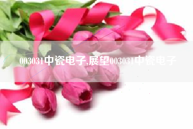 003031中瓷电子,展望003031中瓷电子