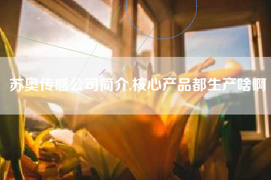 苏奥传感公司简介,核心产品都生产啥啊