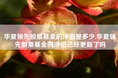 华夏领先股票基金的净值是多少,华夏领先股票基金的净值已经更新了吗