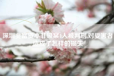 深圳兆富资本非吸案4人被判刑,对受害者造成了怎样的损失