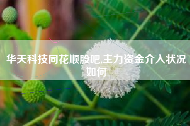 华天科技同花顺股吧,主力资金介入状况如何