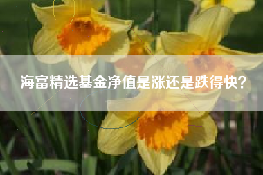 海富精选基金净值是涨还是跌得快？