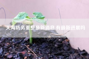 天海防务重整最新消息,有最新进展吗