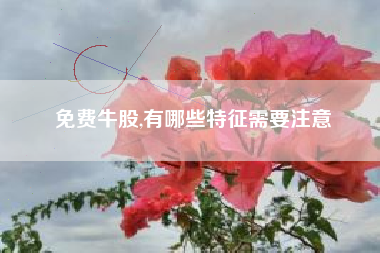 免费牛股,有哪些特征需要注意