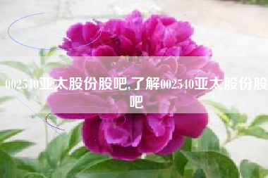 002540亚太股份股吧,了解002540亚太股份股吧