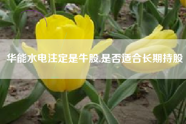 华能水电注定是牛股,是否适合长期持股