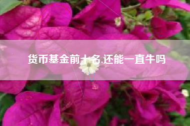 货币基金前十名,还能一直牛吗