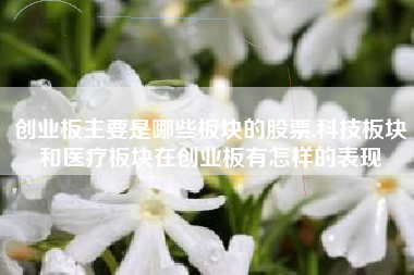 创业板主要是哪些板块的股票,科技板块和医疗板块在创业板有怎样的表现