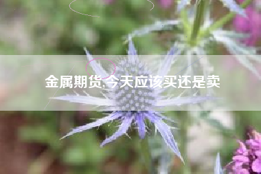 金属期货,今天应该买还是卖