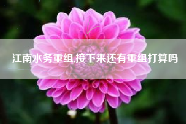 江南水务重组,接下来还有重组打算吗