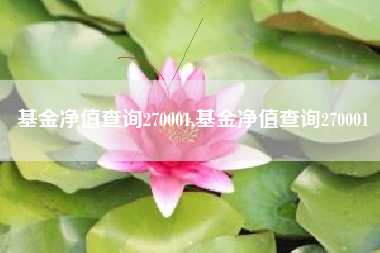 基金净值查询270001,基金净值查询270001