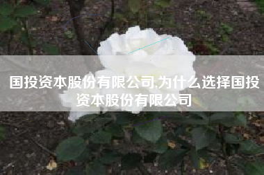 国投资本股份有限公司,为什么选择国投资本股份有限公司