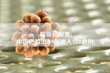 哈医药股票(
中国已检出199例输入XBB病例)