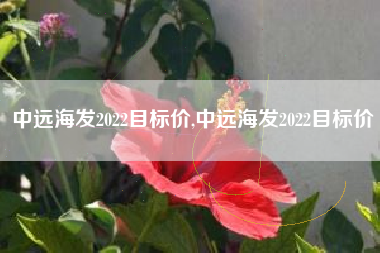 中远海发2022目标价,中远海发2022目标价