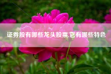 证券股有哪些龙头股票,它有哪些特色