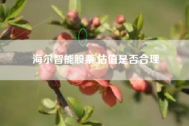 海尔智能股票,估值是否合理