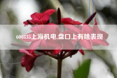 600835上海机电,盘口上有啥表现