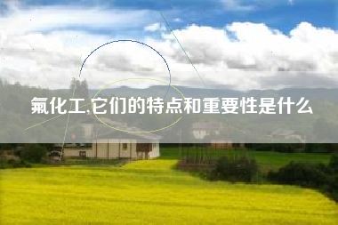 氟化工,它们的特点和重要性是什么