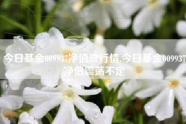 今日基金009937净值查行情,今日基金009937净值震荡不定