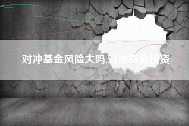 对冲基金风险大吗,对冲基金投资