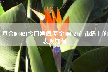 基金000021今日净值,基金000021在市场上的表现如何