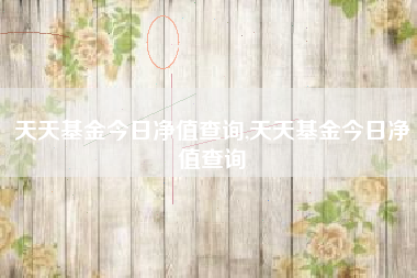 天天基金今日净值查询,天天基金今日净值查询