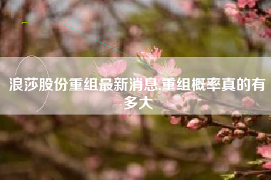 浪莎股份重组最新消息,重组概率真的有多大