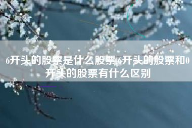 6开头的股票是什么股票,6开头的股票和0开头的股票有什么区别