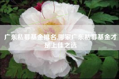 广东私募基金排名,哪家广东私募基金才是上佳之选