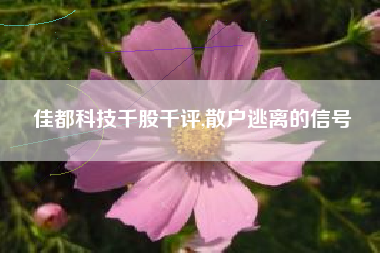 佳都科技千股千评,散户逃离的信号