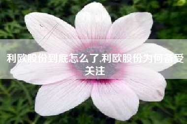 利欧股份到底怎么了,利欧股份为何备受关注