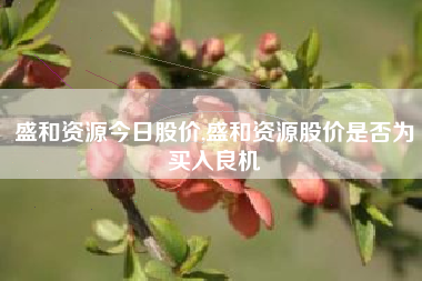 盛和资源今日股价,盛和资源股价是否为买入良机