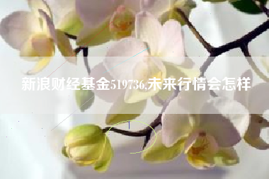 新浪财经基金519736,未来行情会怎样