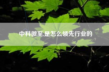 中科微至,是怎么领先行业的