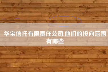 华宝信托有限责任公司,他们的投向范围有哪些