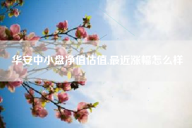 华安中小盘净值估值,最近涨幅怎么样