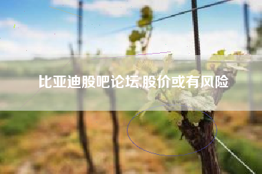 比亚迪股吧论坛,股价或有风险