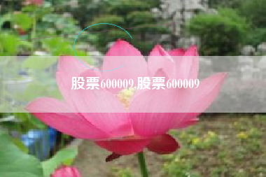 股票600009,股票600009
