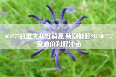 600777的重大利好消息,新潮能源SH.600777受油价利好冲击