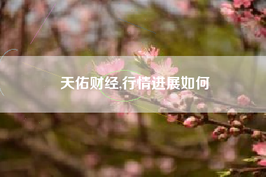 天佑财经,行情进展如何